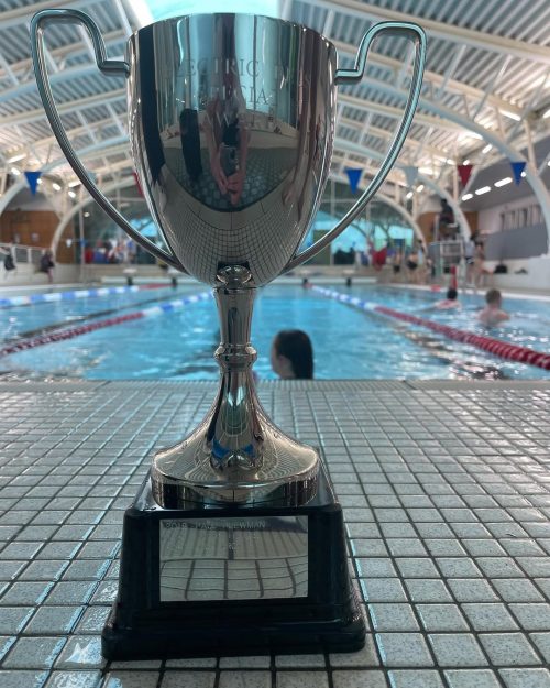 442994560_464343715952221_2570990674316395630_n